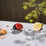 Objets design - Décoratif, Céramique - Coccinelle, voler, voler - LABORATÓRIO D'ESTÓRIAS