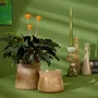 Vases - VERRERIE - RASTELI - BELGIUM