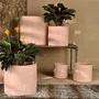 Poterie - POTERIE POUR FLEURISTE - RASTELI - BELGIUM