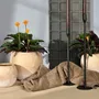 Poterie - POTERIE POUR FLEURISTE - RASTELI - BELGIUM