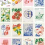 Cadeaux - PUZZLES LIVRES - WILSON JEUX
