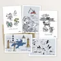 Card shop - Set of 5 postcards — Ushant & Molène Islands - TABLE À CARTES