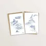 Carterie - 2 cartes postales dauphins et phoques - TABLE À CARTES