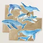 Carterie - 5 cartes, en forme d'animaux marins. - TABLE À CARTES