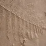 Decorative wall frescoes - Footprints, Pteridium aquilinum and Carpinus betulus - ATELIER MATHILDE FAUCARD