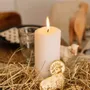Other wall decoration - Lamb ornament - BONCOEURS