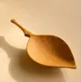 Accessoires thé et café - Cuillère Feuille - ILSANGDOGOO