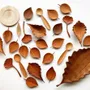 Accessoires thé et café - Cuillère Feuille - ILSANGDOGOO