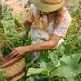 Hats - Jardinero Crochet Panama - PACHACUTI