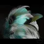 Pièces uniques - Collection Oiseaux Imaginaire : Odyssée - SYLVIE CHÂTILLON