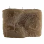 Candles - AMMONITE R CANLDES COLLECTION - CERABELLA SL