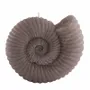 Candles - AMMONITE CANLDES COLLECTION - CERABELLA SL