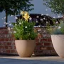 Vases - Classic S - BETONI ART