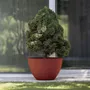 Vases - Classic M - BETONI ART