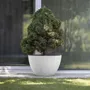 Vases - Classic M - BETONI ART