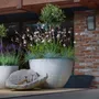 Vases - Classic M - BETONI ART
