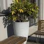 Vases - Classic L - BETONI ART