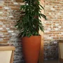 Vases - Classic L - BETONI ART