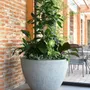 Vases - Classic XL - BETONI ART