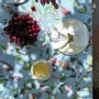 Table linen - European Songbirds Tablecloth - ZOOH