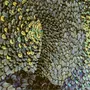 Pièces uniques - Oeuvre murale en plumes - AMANDINE BONNEAU