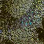 Pièces uniques - Oeuvre murale en plumes - AMANDINE BONNEAU