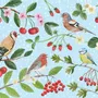 Placemats - Placemat - European Songbirds - ZOOH