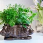Food storage - Tri Planter - QUAIL DESIGNS EUROPE BV