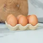 Food storage - Célestin egg box - ERBEKO