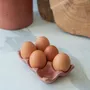 Food storage - Célestin egg box - ERBEKO