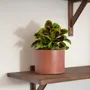 Vases - Cache-pot Fernand - ERBEKO