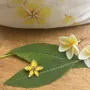 Brooches - Pins La fleur de frangipanier - POP ET SES FRÈRES