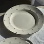 Formal plates - Circular dish model Nico gold Digoin Sarreguemines D30.5 - OFFICE OBJETS