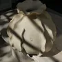 Vases - ANEMONE vase - ATELIER MUSES