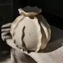 Vases - ANEMONE vase - ATELIER MUSES