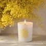 Candles - Candle\" Under the Mimosa\ " - HAUTS LES RÊVES