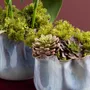 Vases - Cache-pot Plisse - LOU DE CASTELLANE