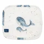 Kids accessories - Washcloth - The Blue Whales - POP ET SES FRÈRES