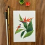 Carterie - Carte Postale Réunion - L'Oiseau de Paradis - POP ET SES FRÈRES