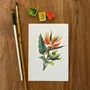 Carterie - Carte Postale Réunion - La Fleur de Paradis - POP ET SES FRÈRES