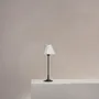Desk lamps - Cotswold Small Table Lamp Fine Porcelain - Bronze - CORSTON ARCHITECTURAL DETAIL