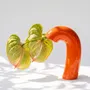 Vases - VITA Vase - Micha Orange - HOUBI