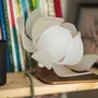 Table lamps - Lotus table lamp - ANCA FETCU STUDIO