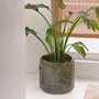 Pottery - Cuboid - POMAX