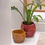 Pottery - Cuboid - POMAX