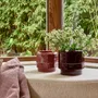 Poterie - Natra - POMAX