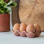 Food storage - Célestin egg box - ERBEKO
