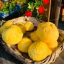 Fragrance for women & men - BUONGIORNO POSITANO - Single Gift Set - CASA AMALFI