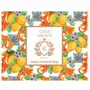 Parfums pour soi et eaux de toilette - LEMON MAIOLICA - Coffret 3 Savons - CASA AMALFI