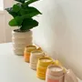 Gifts - Attraction Solaire | Scented Candle (190g) - NICAISE